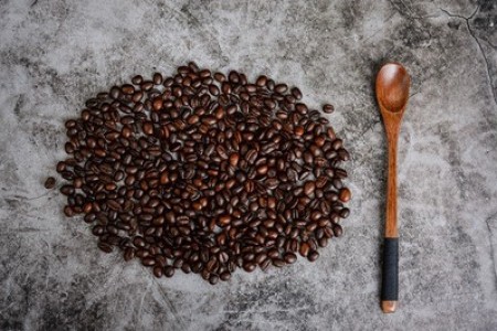 我会读书手抄报 - 我爱读书手抄报