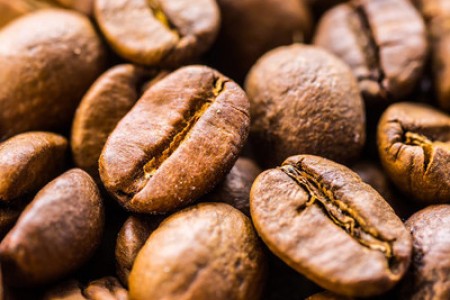 秋天 动物 - 秋天的动物有哪些