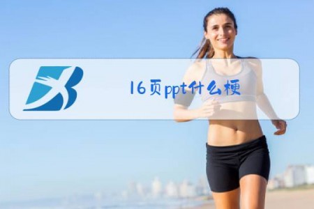 16页ppt什么梗