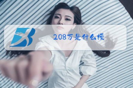 208万是什么梗