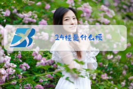 24楼是什么梗