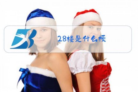 28楼是什么梗