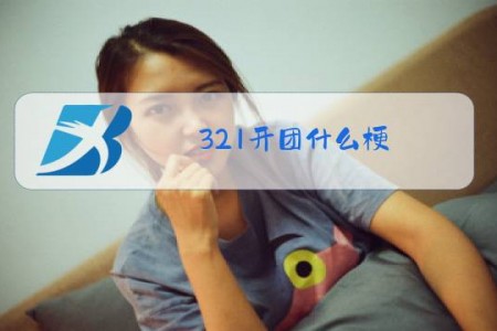 321开团什么梗