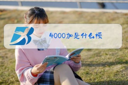 4000加是什么梗