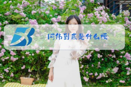 阿伟到底是什么梗