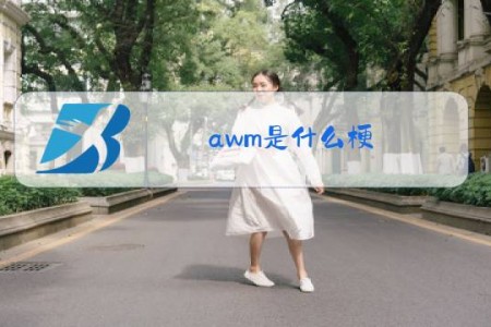 awm是什么梗