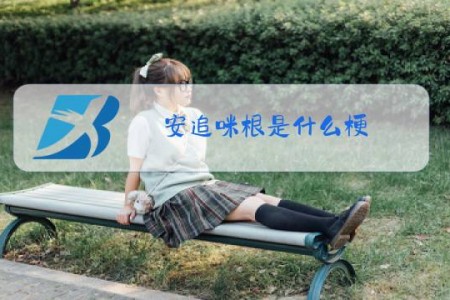 安追咪根是什么梗