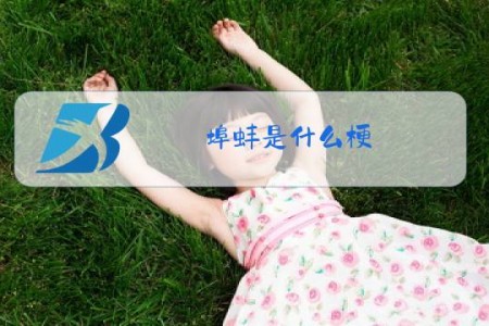 埠蚌是什么梗