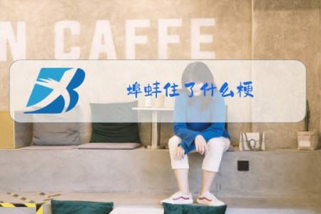 埠蚌住了什么梗