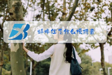蚌埠住了什么梗拼音