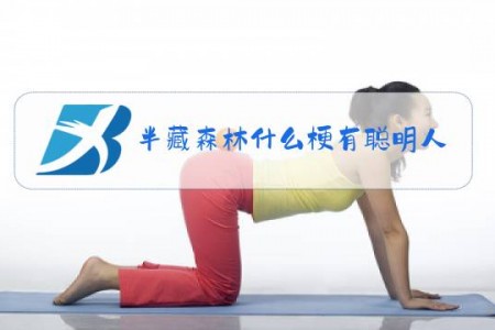半藏森林什么梗有聪明人为我解答困惑不