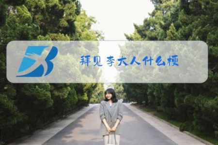拜见李大人什么梗