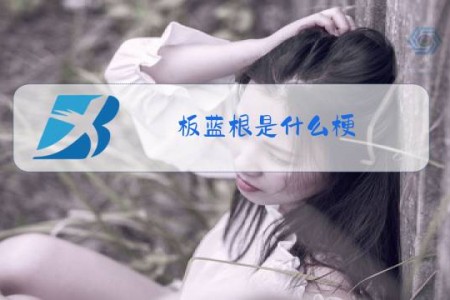 板蓝根是什么梗