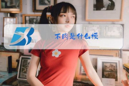 不肉是什么梗