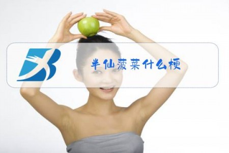半仙菠菜什么梗