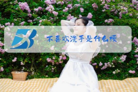 不喜欢洗手是什么梗