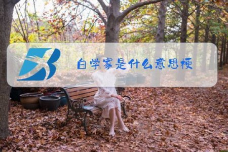 白学家是什么意思梗