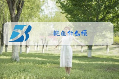 鲍鱼什么梗