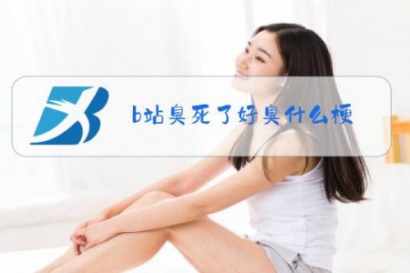 b站臭死了好臭什么梗