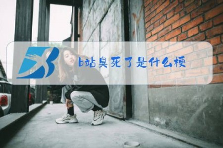 b站臭死了是什么梗