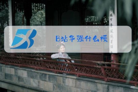 B站华强什么梗