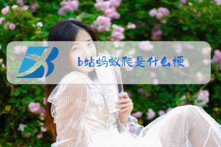 b站蚂蚁爬是什么梗