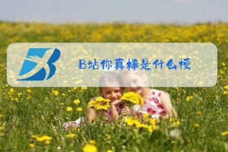 B站你真棒是什么梗