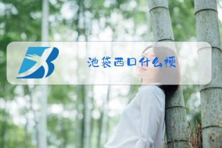 池袋西口什么梗