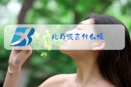 此乃谎言什么梗