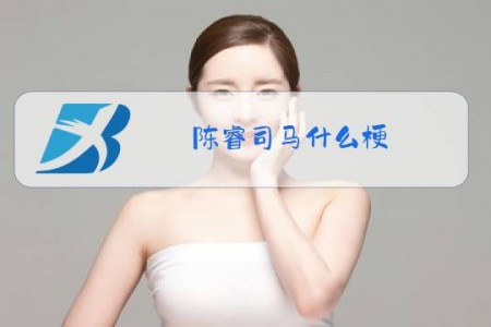 陈睿司马什么梗