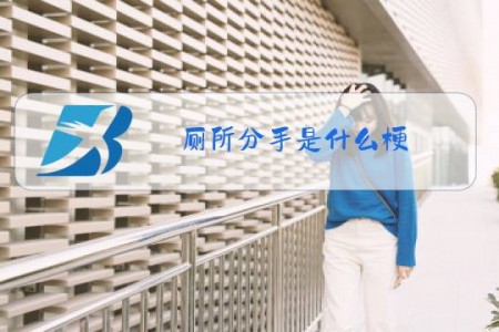 厕所分手是什么梗