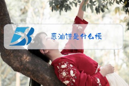葱油饼是什么梗