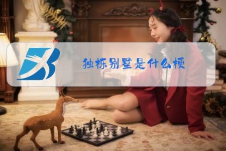 独栋别墅是什么梗