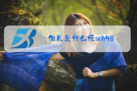 但凡是什么梗snh48