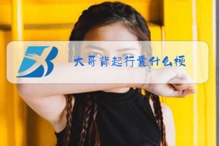 大哥背起行囊什么梗