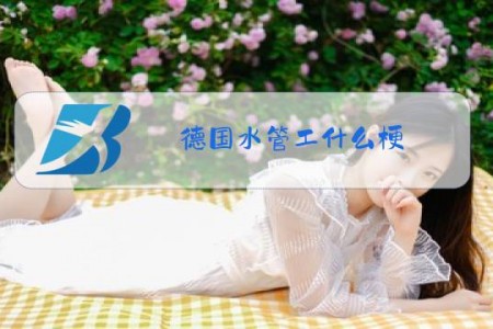 德国水管工什么梗