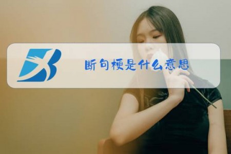 断句梗是什么意思