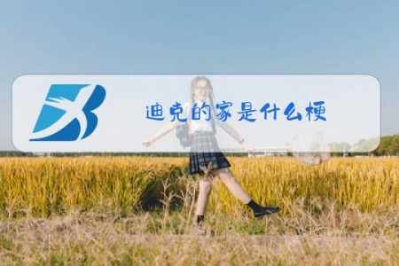 迪克的家是什么梗