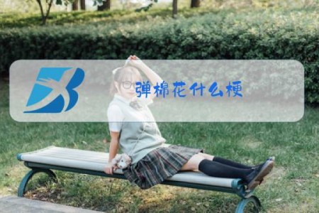 弹棉花什么梗