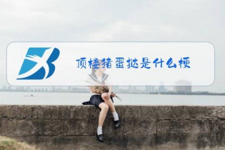 顶楼猪蛋挞是什么梗