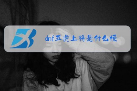 dnf五虎上将是什么梗
