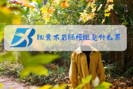 胆囊术后肠梗阻是什么原因