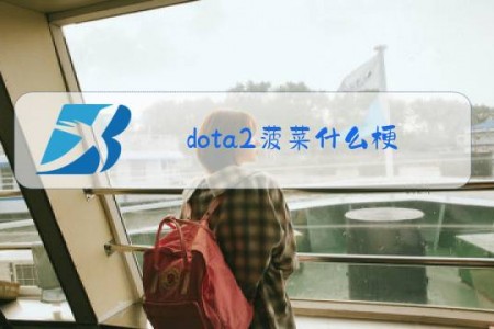 dota2菠菜什么梗