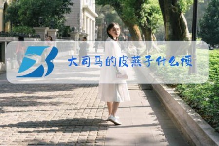 大司马的皮燕子什么梗