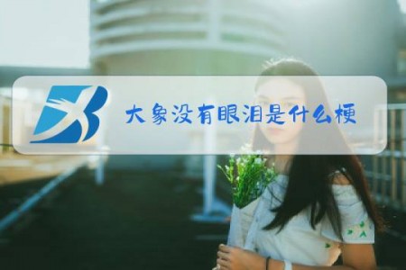 大象没有眼泪是什么梗
