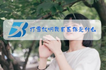 打雪仗啊我有医保是什么梗