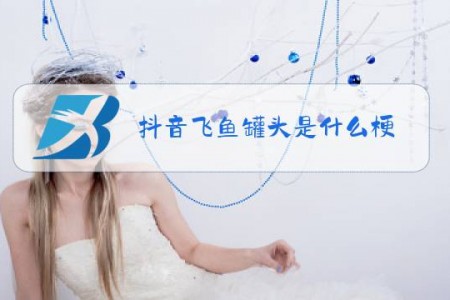 抖音飞鱼罐头是什么梗