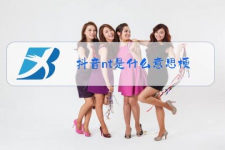 抖音nt是什么意思梗