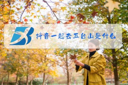 抖音一起去五台山是什么梗