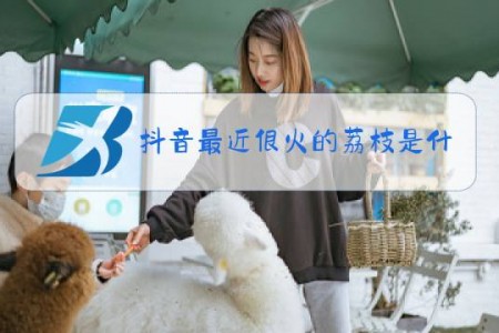 抖音最近很火的荔枝是什么梗